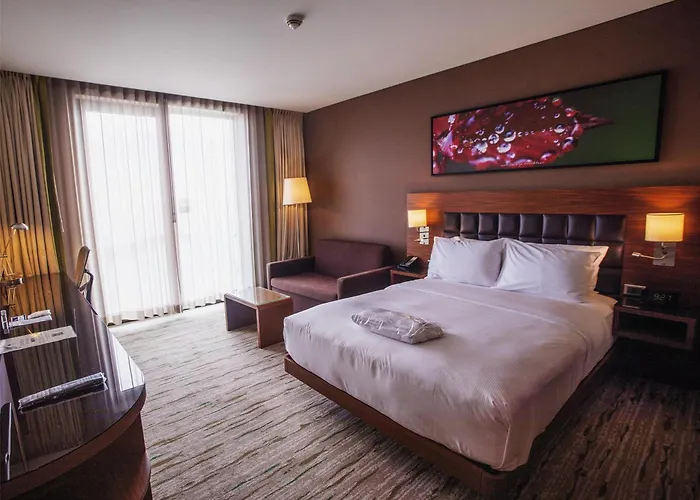 Doubletree By Hilton Ξενοδοχείο Τραμπζόν